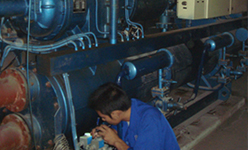 {(dio)C(j)So(h)B(yng)