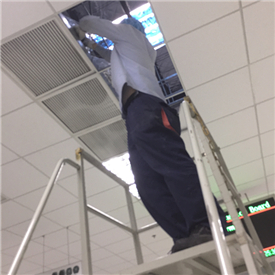 ܇(ch)L(fng)C(j)P(pn)ܱB(yng)